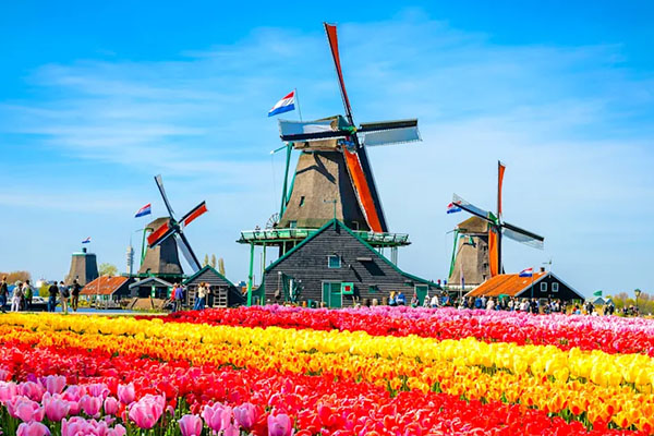 International Flight Zephyrs World Holidays_0008_9 Netherland